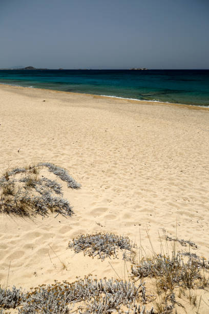 istock Golden sand of Plaka beach 1039101852