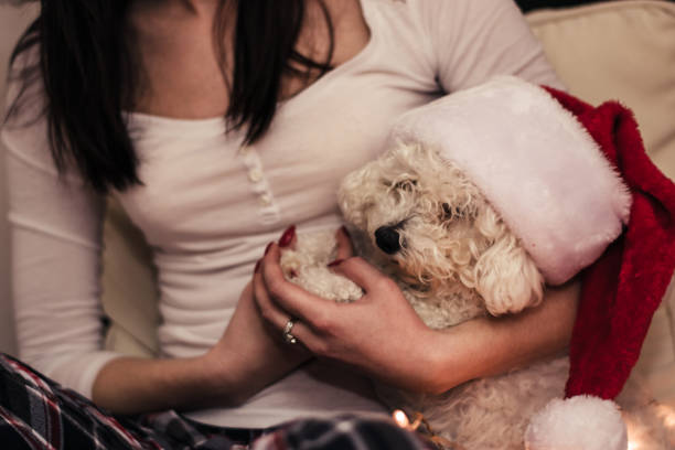 istock Her Dog Loves Christmas 1039105362