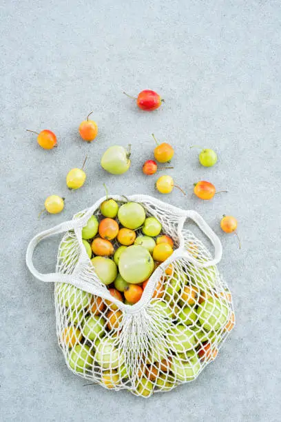 Colorful apples from the garden in a cotton mesh bag, on concrete background.