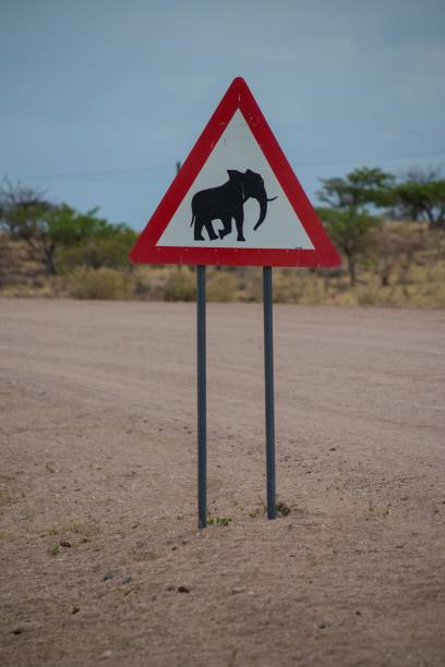 istock Watch out for elephants sign 1039124676