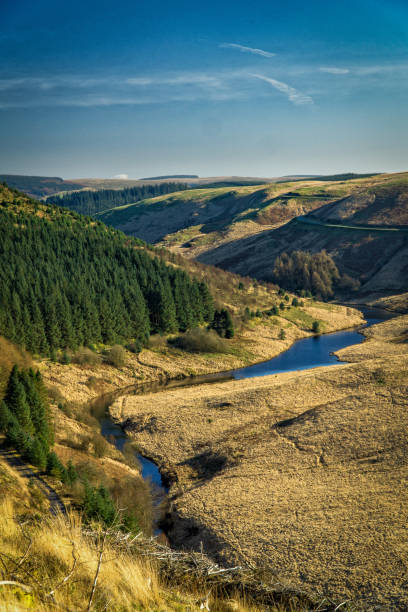 istock River leading into the Llyn Brianne reservoir 1039132208