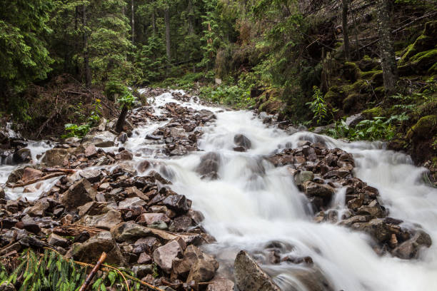 Fast and rapid mountain stream current after rain stock photo