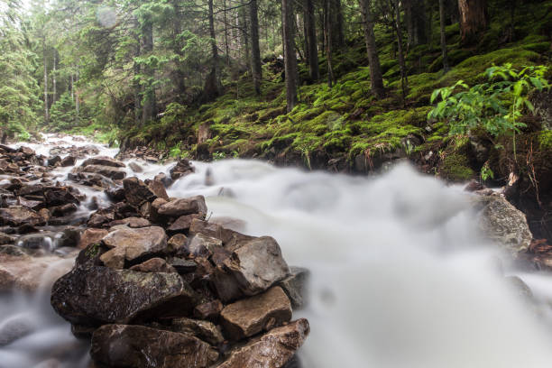 Fast and rapid mountain stream current after rain stock photo