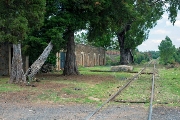 istock Forgotten railway station 1039142416