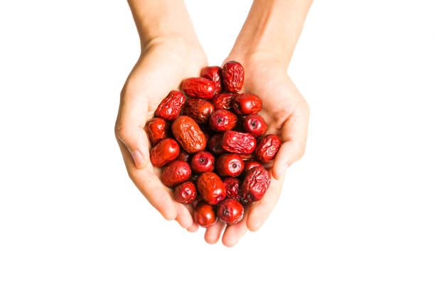 Hand holding Chinese red dates isolated