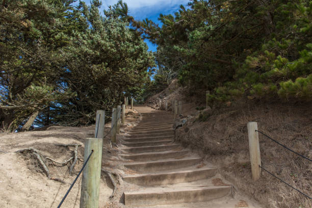 istock Land's end park in San Francisco 1039148932