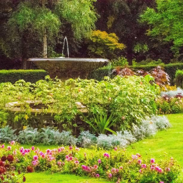 istock Floral garden 1039149056