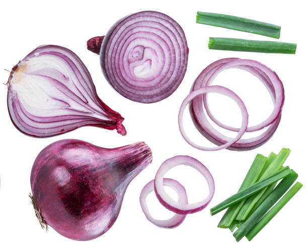 red onion bulbs, cross sections of onion and spring onion. - spanish onion imagens e fotografias de stock