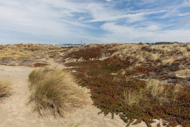 istock Coast view of San Francisco 1039149234