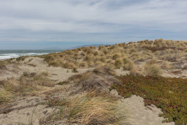 istock Coast view of San Francisco 1039149258