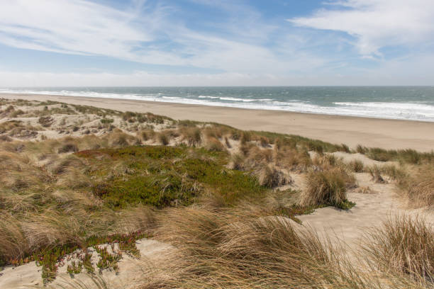 istock Coast view of San Francisco 1039149364
