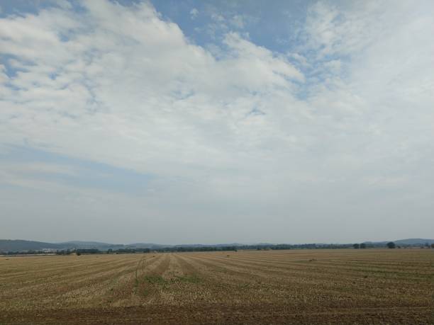 istock Green meadow during sunny and cloudy afternoon. 1039149760