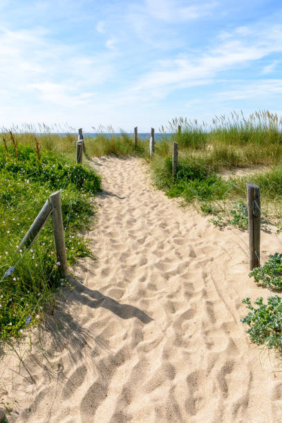 istock A pathway with many footprints, delimited by wooden posts on the sand dune covered with wild grasses, leading to the du Guesclin beach on the french Brittany seashore. 1039159608