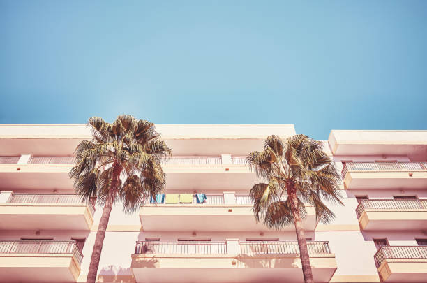 istock Palm trees in front of a hotel. 1039159838