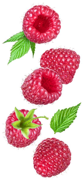 istock Set of ripe raspberries on white background. 1039161110