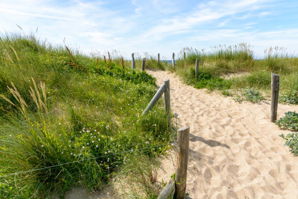 istock A pathway with many footprints, delimited by wooden posts on the sand dune covered with wild grasses, leading to the du Guesclin beach on the french Brittany seashore. 1039163656