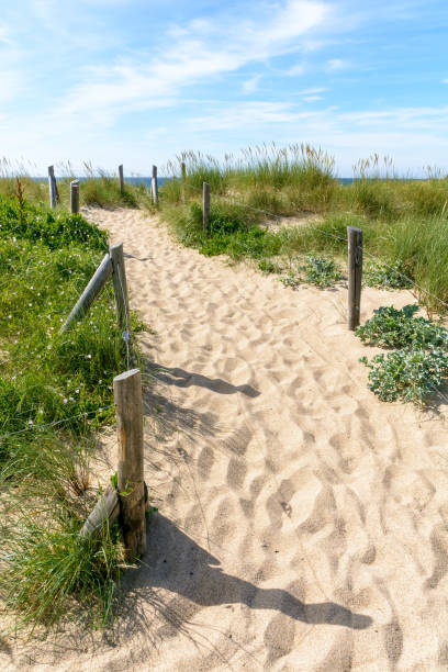 istock A pathway with many footprints, delimited by wooden posts on the sand dune covered with wild grasses, leading to the du Guesclin beach on the french Brittany seashore. 1039164566
