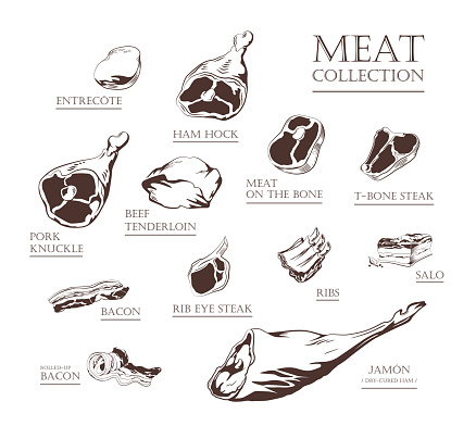 Collection of hand drawn vintage style food ingredients. Outline retro illustrations of meat, ham, pork, beef, lamb, bacon, ribs, steak, tenderloin. Vector icons, emblem and logo elements.