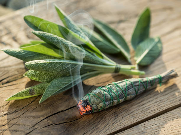 istock Burning sage stick and fresh sage leaves. 1039165660