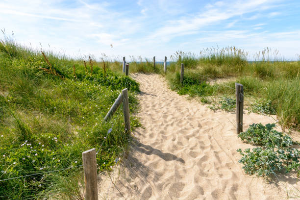 istock A pathway with many footprints, delimited by wooden posts on the sand dune covered with wild grasses, leading to the du Guesclin beach on the french Brittany seashore. 1039169864