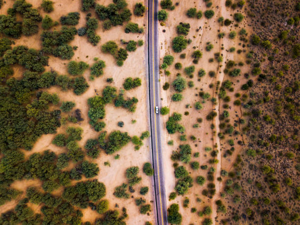 carretera del desierto con arbustos y cactus aéreas - desert road road urban road desert fotografías e imágenes de stock