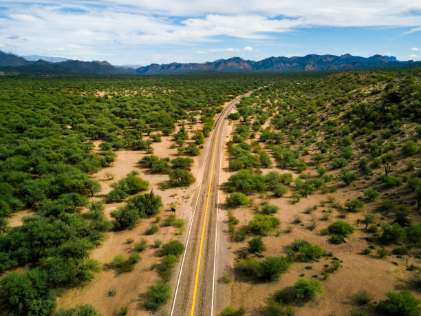 istock Desert road with bushes and cactuses aerial 1039170448