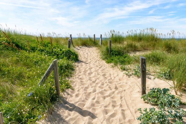 istock A pathway with many footprints, delimited by wooden posts on the sand dune covered with wild grasses, leading to the du Guesclin beach on the french Brittany seashore. 1039174002