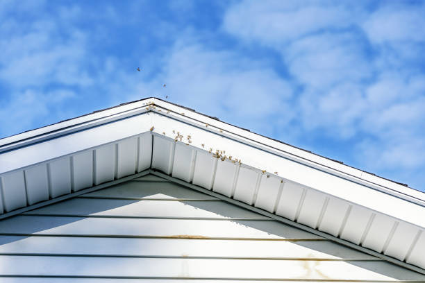 istock Buzzing Flying Bee Swarm Infestation Under Roof Peak 1039179542