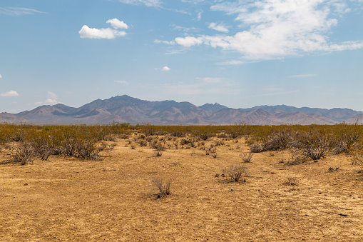 A view of an arid landscape in Arizona, on a sunny summer's day