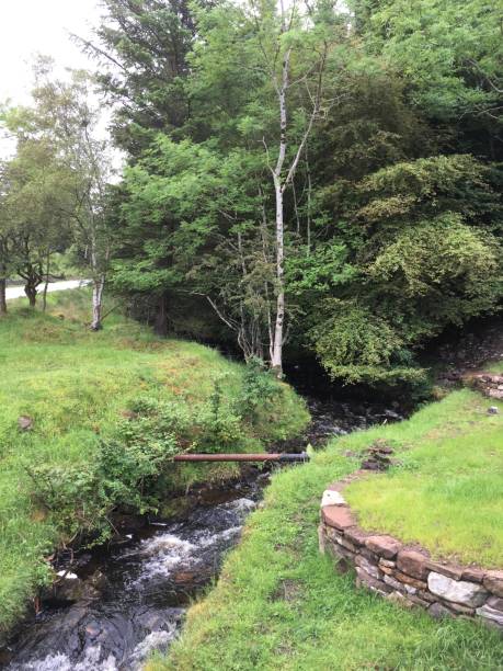 istock Pictures taken while touring Scotland 1039209338