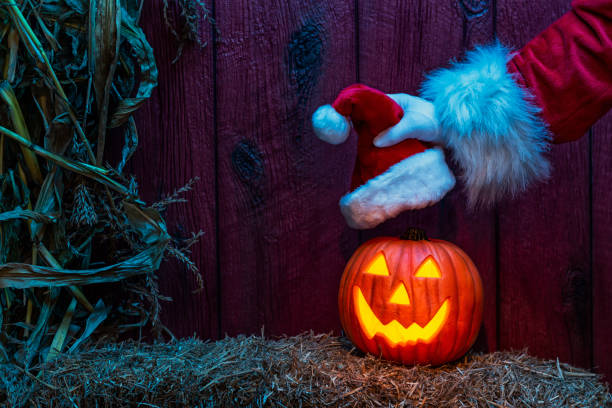 Santa placing a Santa Hat on a happy carved Jack O' Lantern on a hay bale with dried cornstalks stock photo