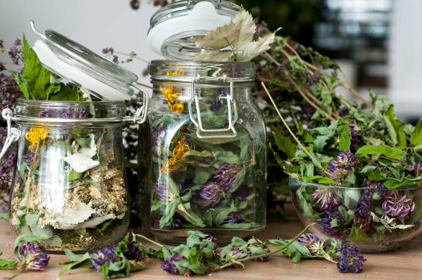 istock collection of dried herbs 1039216434