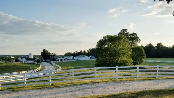 Landscape of the farm