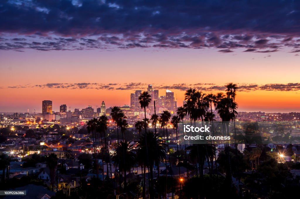 Los Angeles downtown Beautiful night of Los Angeles downtown skyline and palm trees in foreground City Of Los Angeles Stock Photo