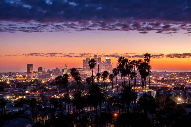Los Angeles downtown Beautiful night of Los Angeles downtown skyline and palm trees in foreground los angeles county stock pictures, royalty-free photos & images