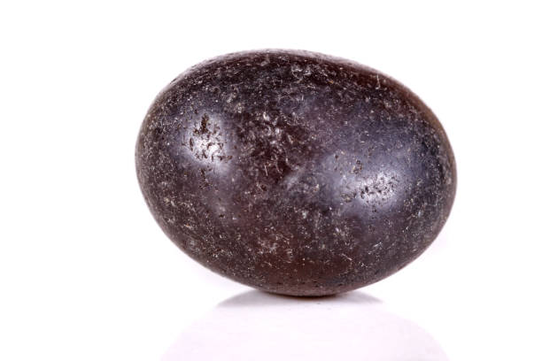 istock Macro mineral stone lignite on a white background 1039239734