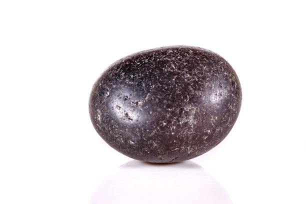 istock Macro mineral stone lignite on a white background 1039239756