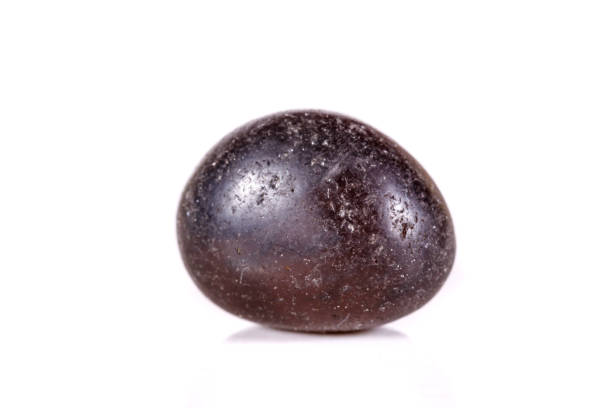 istock Macro mineral stone lignite on a white background 1039239868