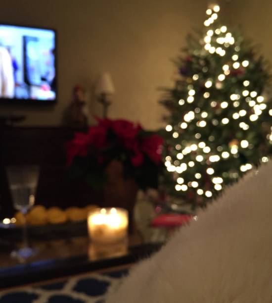 The view from the couch, curled up in a furry blanket to watch the Christmas specials.