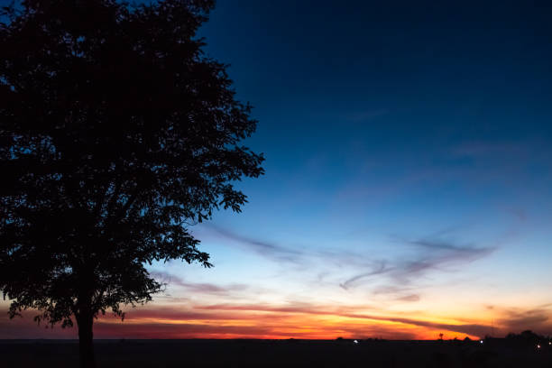 istock idyllic sunset in the field . sunset sky dark tree. 1039246382