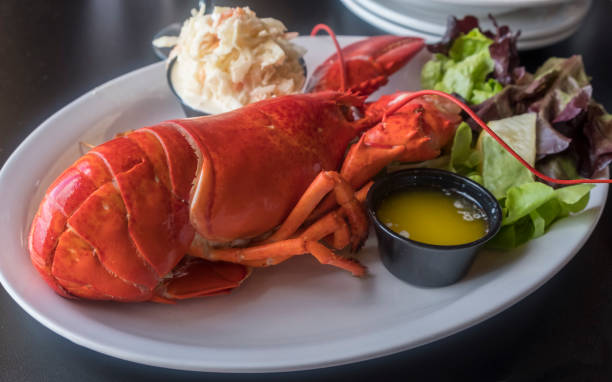 istock Whole Lobster Meal 1039255664