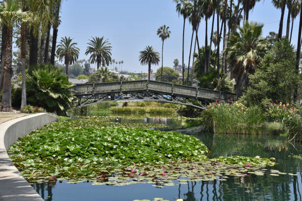 istock Lake in a beautiful urban park 1039267592