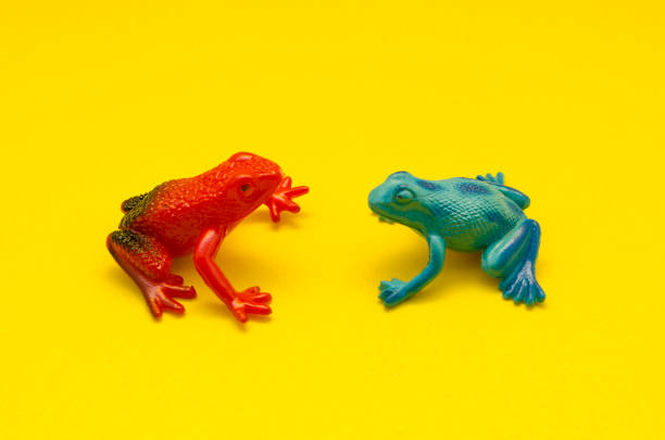 istock Plastic toy frogs on yellow background 1039297046