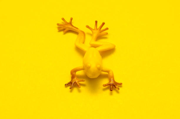istock Plastic toy frog on yellow background 1039298598