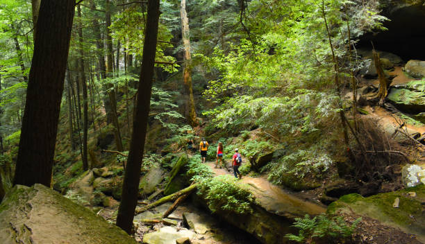 Group of hikers in Hocking Hills State Forest, from afar.