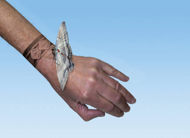 Butterfly on hand Butterfly on hand wrist tattoo stock pictures, royalty-free photos & images