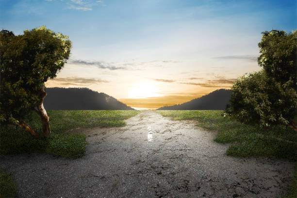 istock Green grass on abandoned road 1039364504