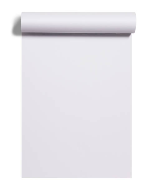 scroll of white paper sheet - rolled up imagens e fotografias de stock