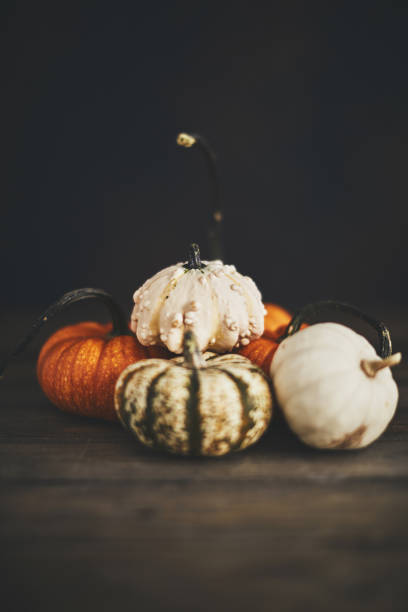istock Artistic still life fall background with rustic pumpkin collection 1039367972