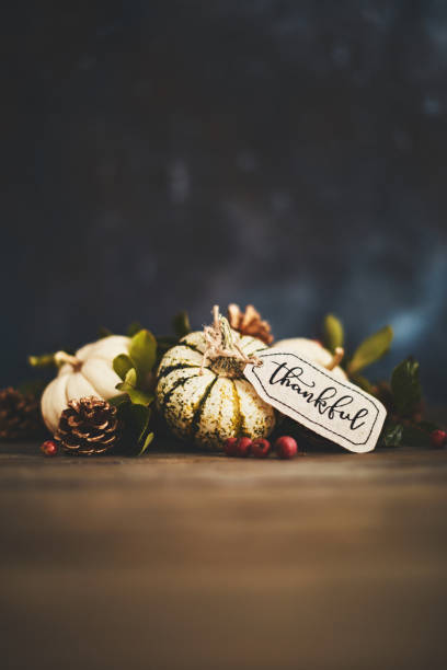 istock Thanksgiving background with pumpkin assortment and thankful message 1039368640